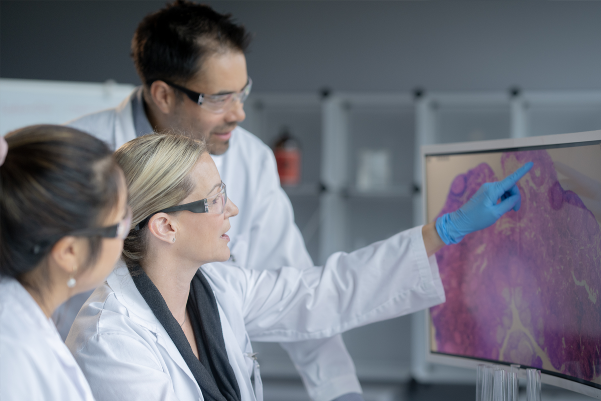Three Scientists observing a scan on a computer screen