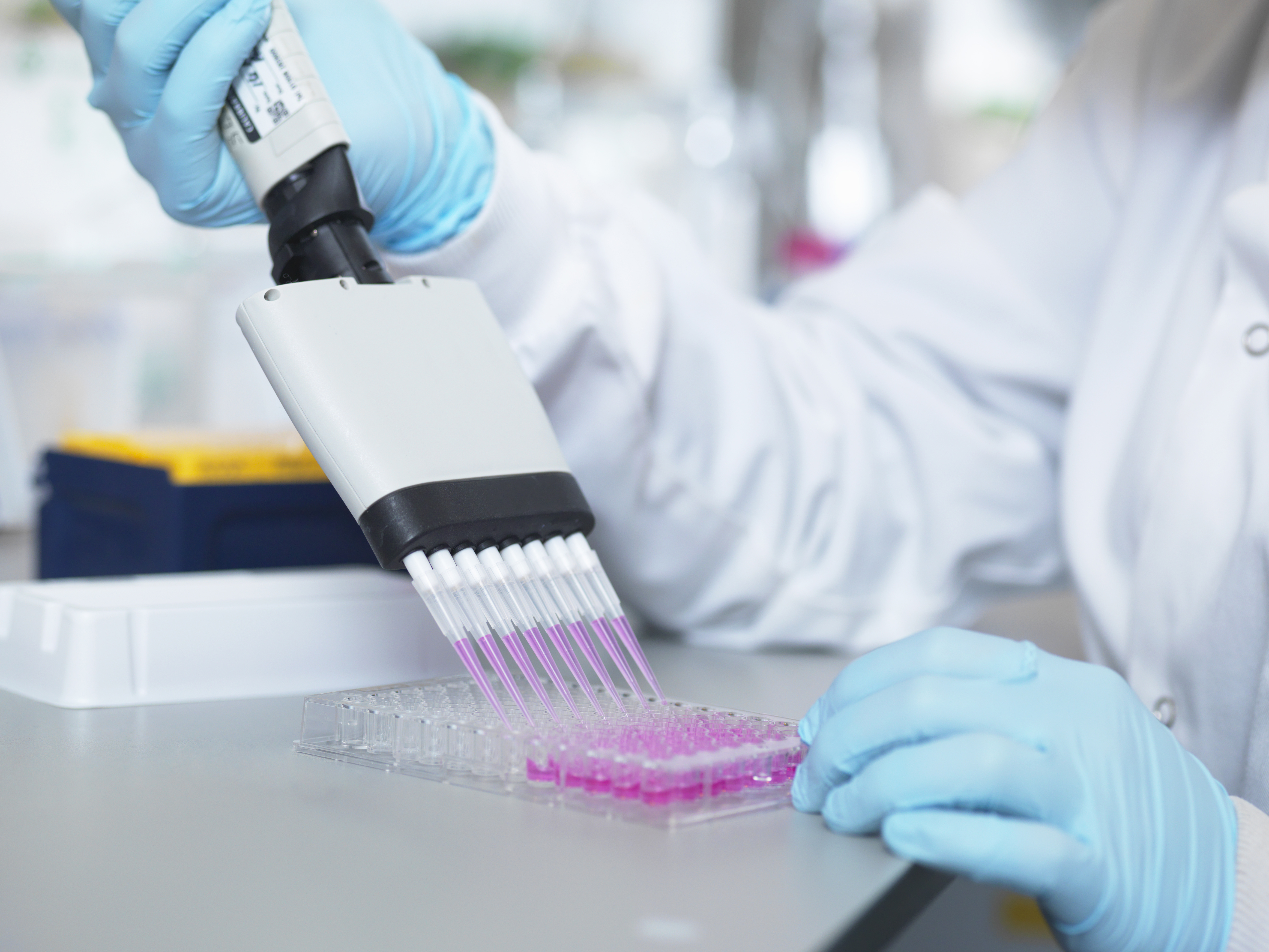 Scientist performing CDx assay for companion diagnostic and in vitro diagnostic development with clinical validation support