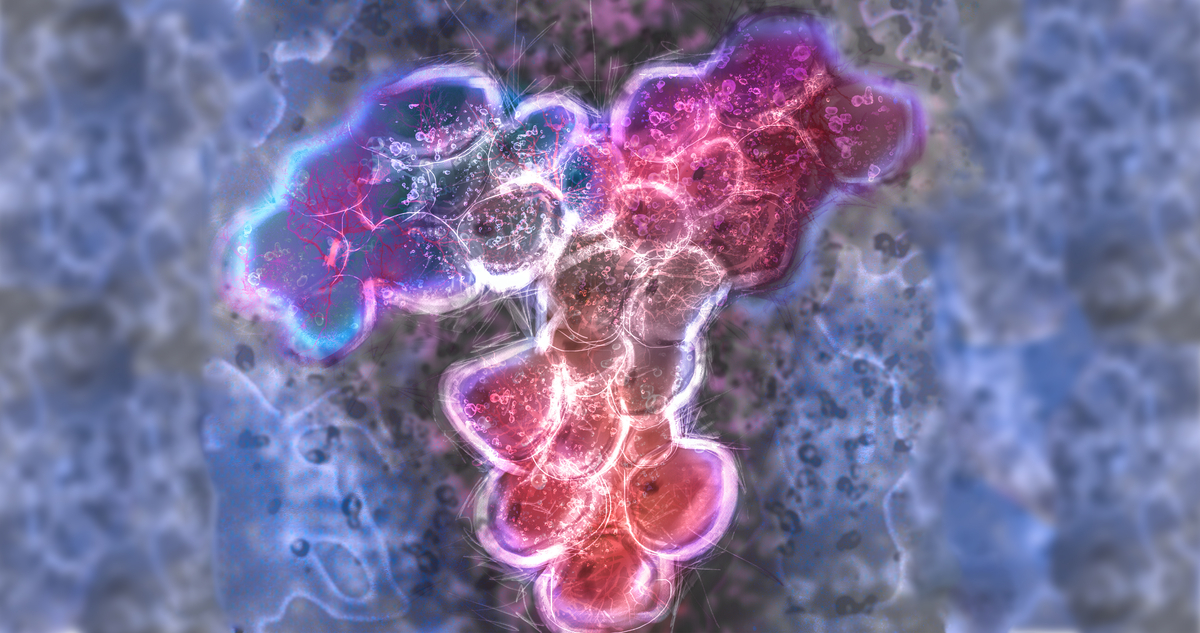 A microscopic image of an antibody