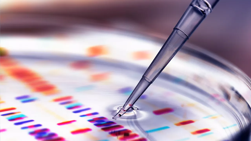 Científico sosteniendo una pipeta mientras extrae una muestra