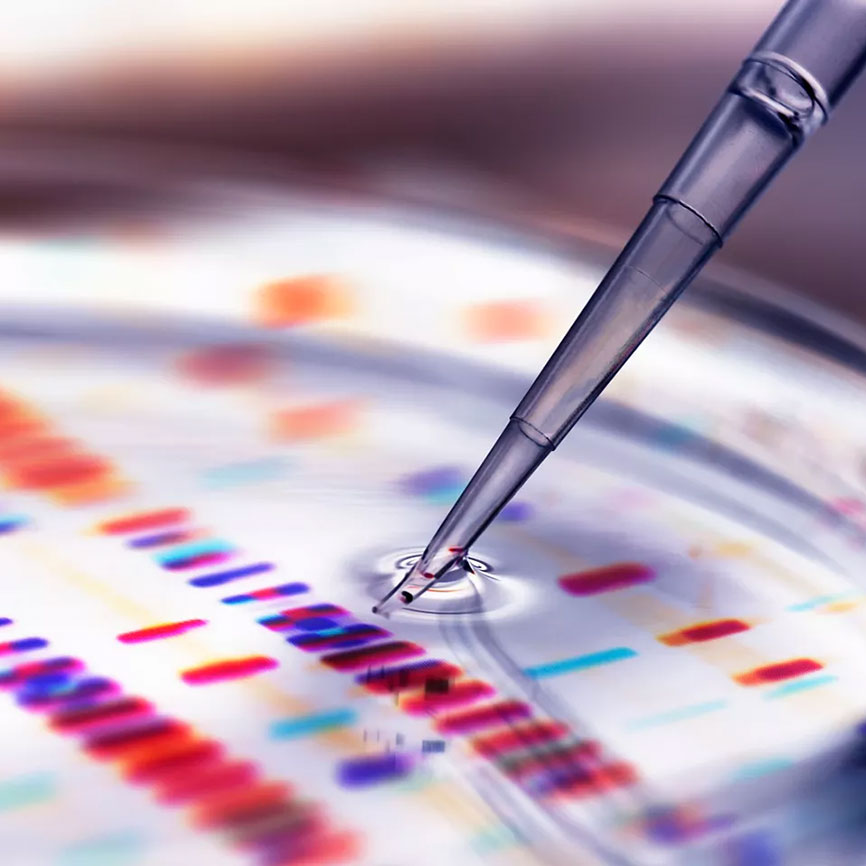 Scientist using pipette for LC MS methods and bioanalysis solutions in drug development