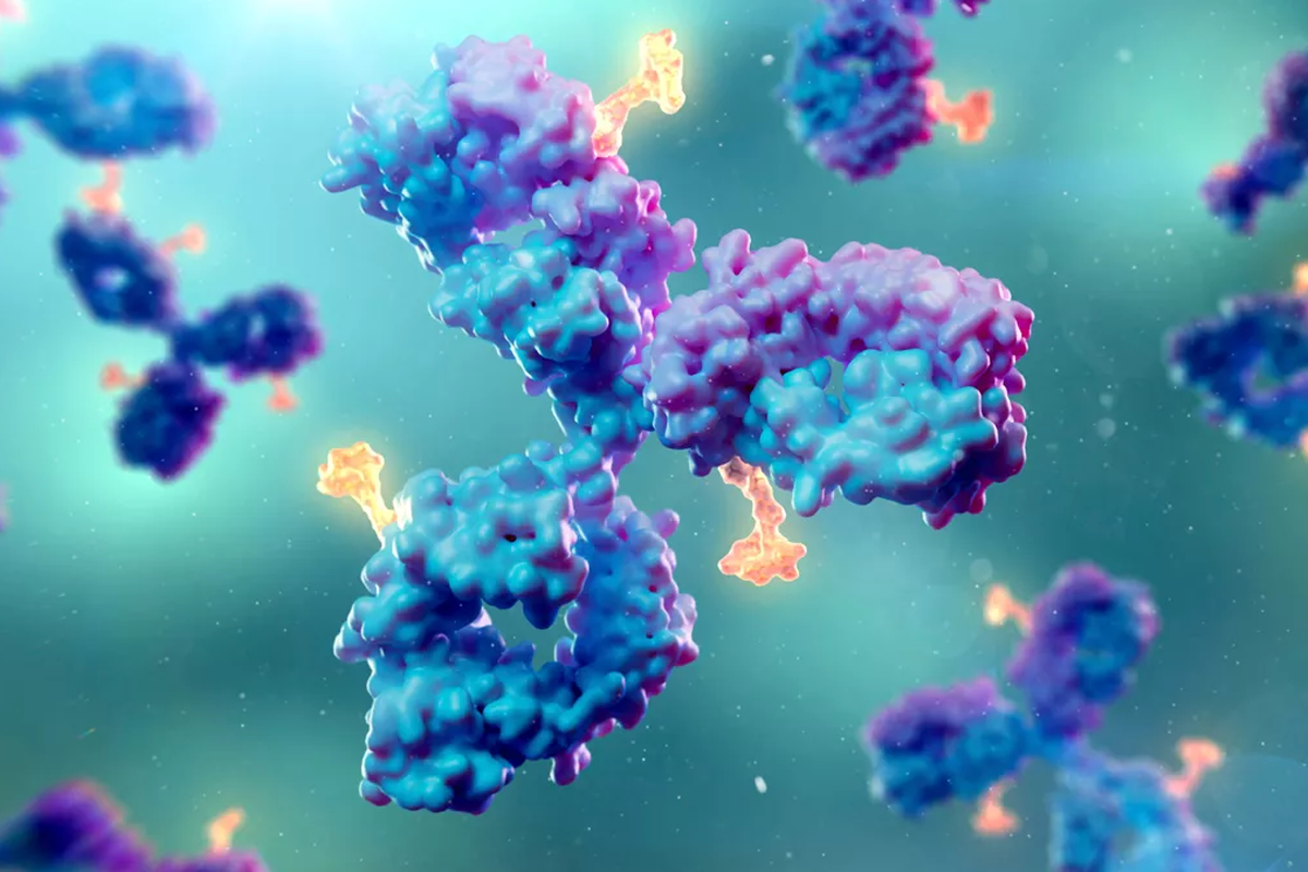 Antibody drug conjugate research supporting advanced therapeutic development