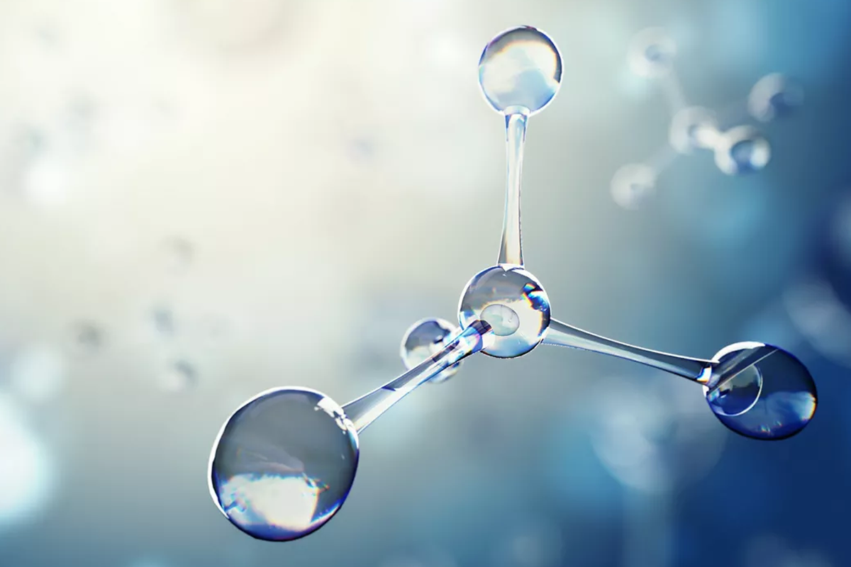 Precision medicine research supporting clinical trial services and bioanalytical testing