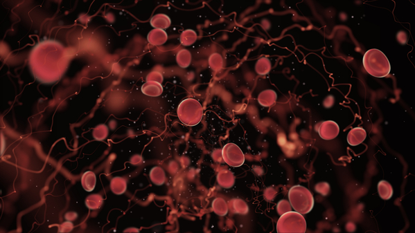 Cardiovascular disease biomarker-driven development: Advance cardiovascular development with expert insights on biomarker strategies that streamline cardiovascular clinical trials and support novel treatments for heart disease.